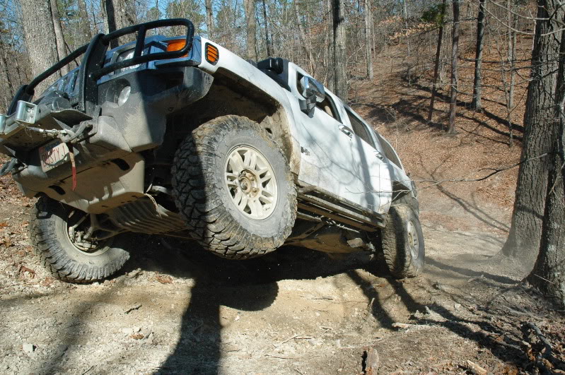 Name:  DSC_3121.jpg
Views: 554
Size:  177.7 KB