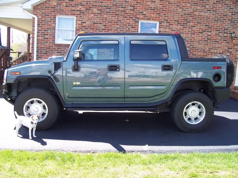 Name:  hummer.jpg
Views: 246
Size:  117.9 KB