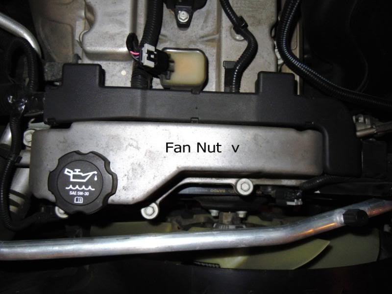 Name:  DSCFanNut.jpg
Views: 2882
Size:  49.0 KB