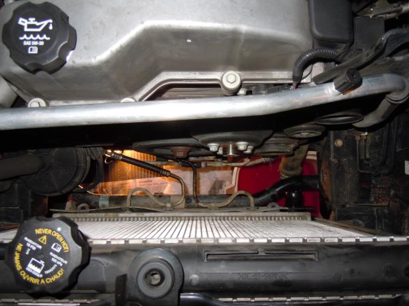 Name:  DSCN0117.jpg
Views: 3432
Size:  61.4 KB