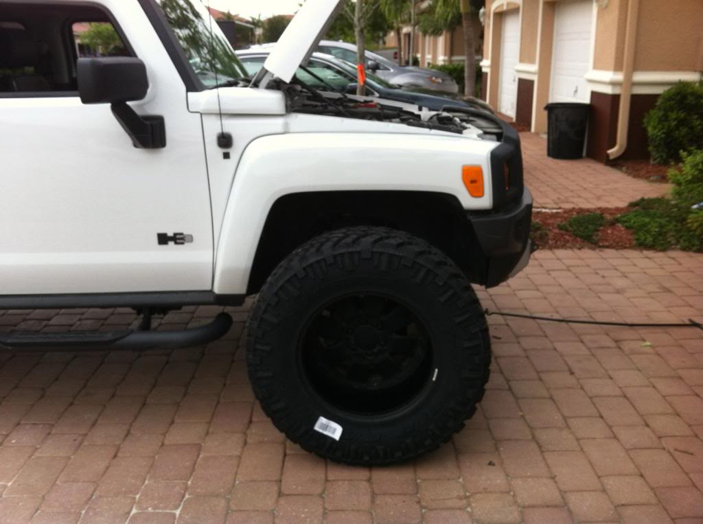 Name:  IMG_1887_zps86509c5d.jpg
Views: 271
Size:  69.3 KB