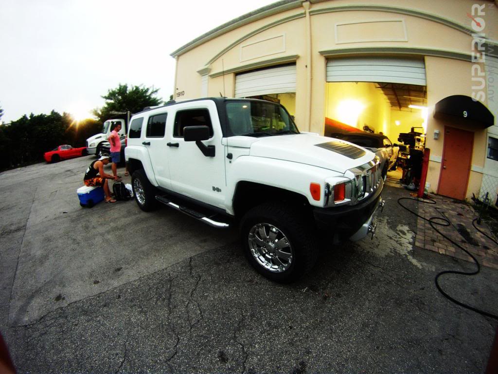 Name:  472015_301492266612254_702857595_o.jpg
Views: 551
Size:  120.5 KB