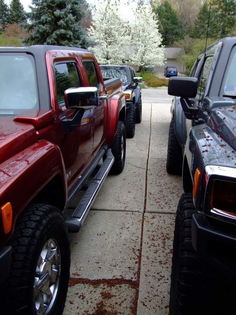 Name:  2012_0401MrRedRocT0002.jpg
Views: 328
Size:  207.4 KB