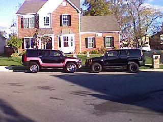 Name:  our20hummers.jpg
Views: 159
Size:  21.1 KB