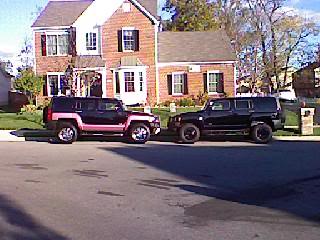 Name:  our20hummers.jpg
Views: 213
Size:  21.1 KB