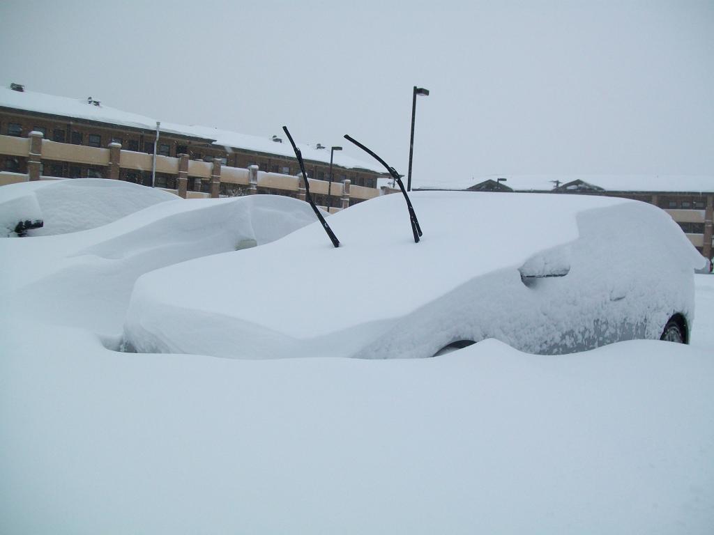 Name:  snowP%202-6%205.jpg
Views: 237
Size:  40.2 KB