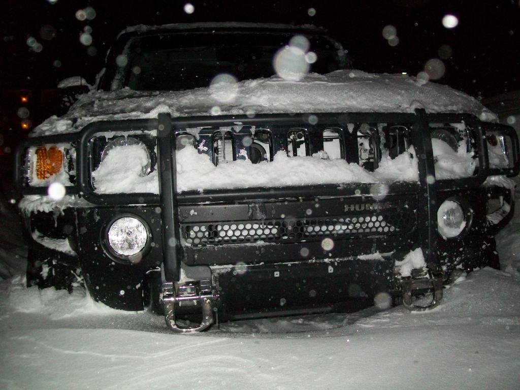 Name:  2nd%20blizzard%205.jpg
Views: 239
Size:  112.4 KB