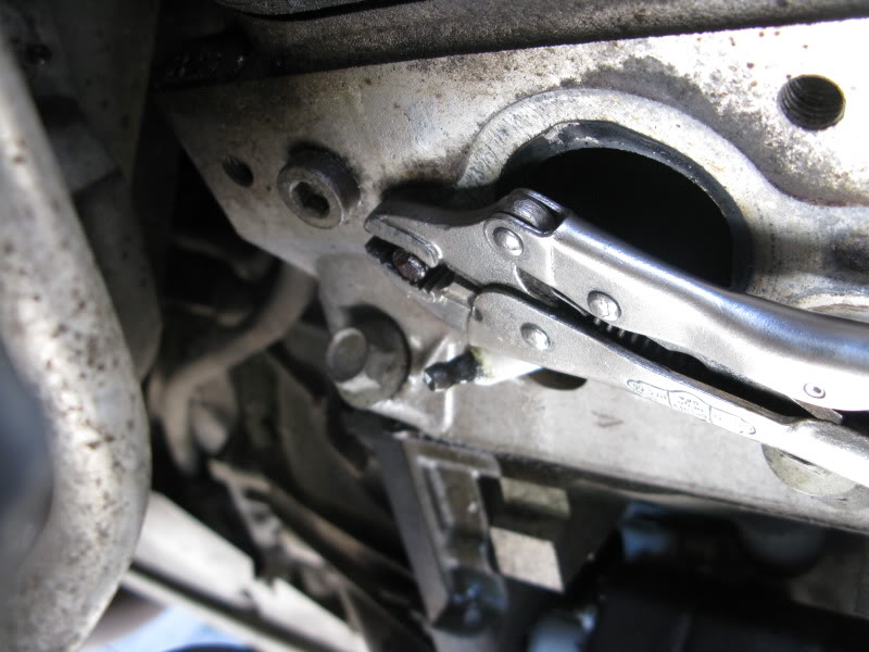 Name: IMG_3977.jpg
Views: 538
Size: 73.1 KB