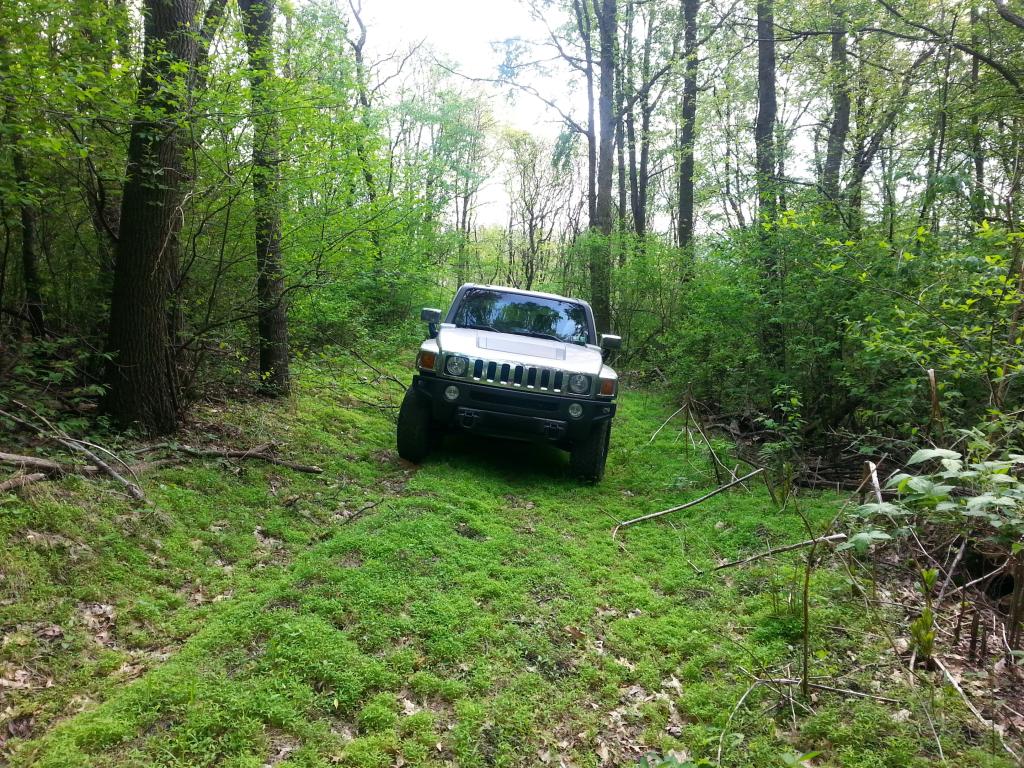 Name: 20140520_163016_zps0rzlf9w2.jpg
Views: 1225
Size: 253.9 KB