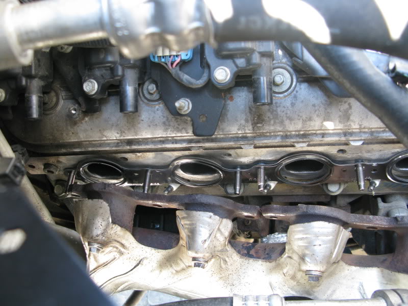 Name:  IMG_3980.jpg
Views: 3033
Size:  91.3 KB