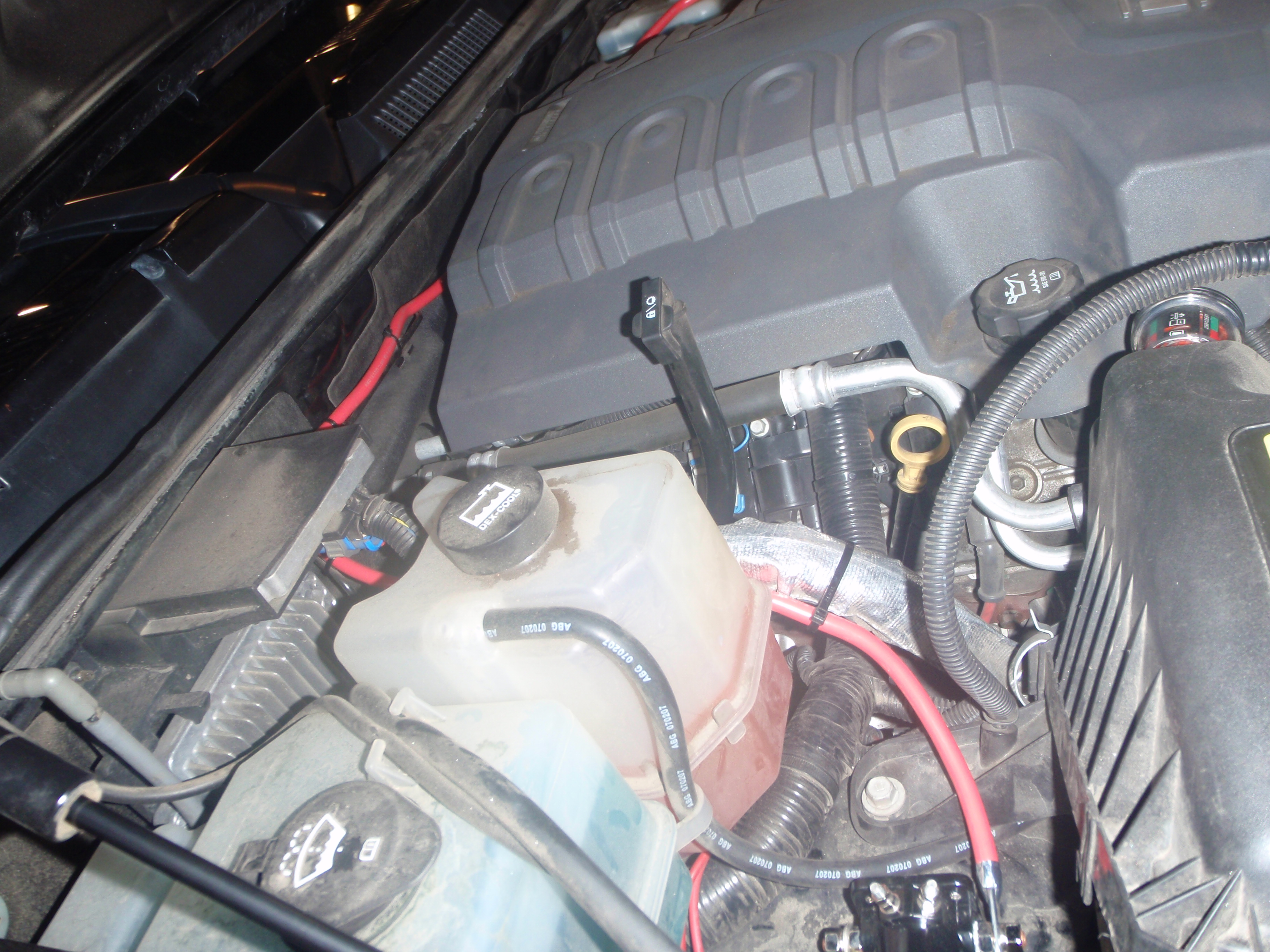 Name:  P6190006_zps71744f83.jpg
Views: 1113
Size:  2.16 MB