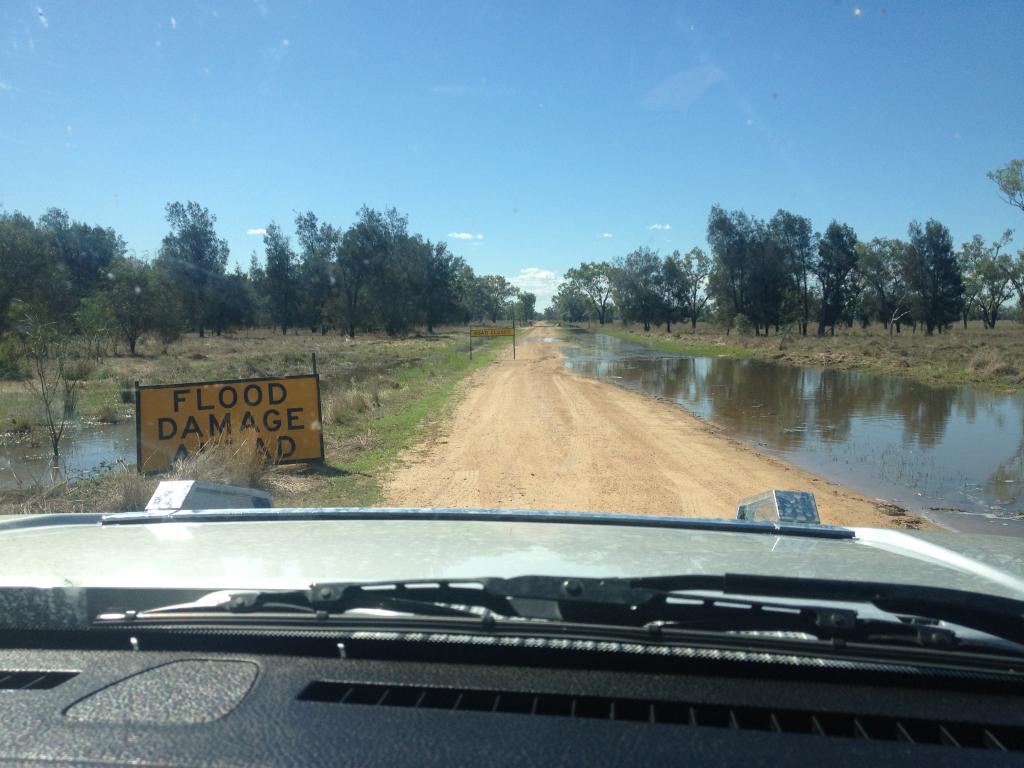 Name:  IMG_3450_zps05eb5053.jpg
Views: 382
Size:  95.7 KB