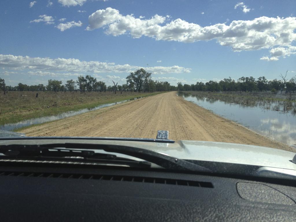 Name:  IMG_3446_zps9e2ca1ea.jpg
Views: 409
Size:  88.9 KB