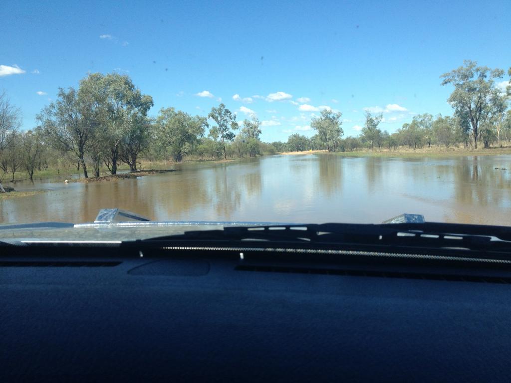 Name:  IMG_3452_zps5154495c.jpg
Views: 379
Size:  78.0 KB