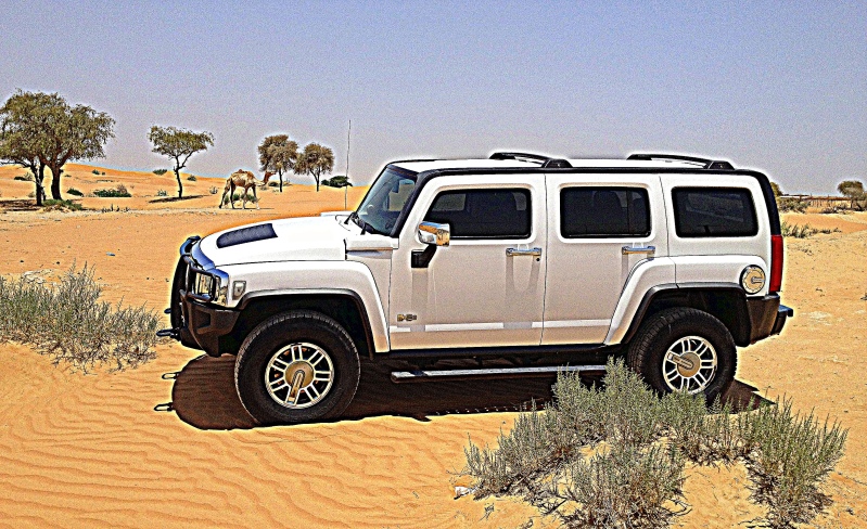 Name:  desert3hdr.jpg
Views: 163
Size:  261.6 KB
