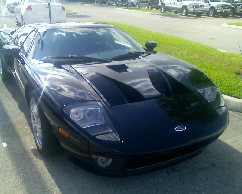 Name:  blackgt2.jpg
Views: 48
Size:  64.8 KB