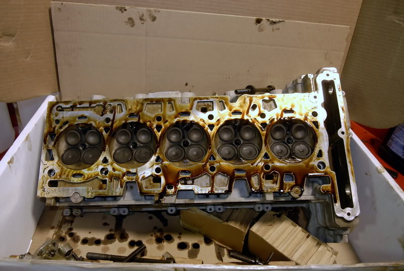 Name:  _DSC8285_resize.jpg
Views: 5588
Size:  89.1 KB