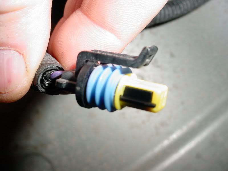 Name:  MVC-005F-5.jpg
Views: 3778
Size:  42.7 KB