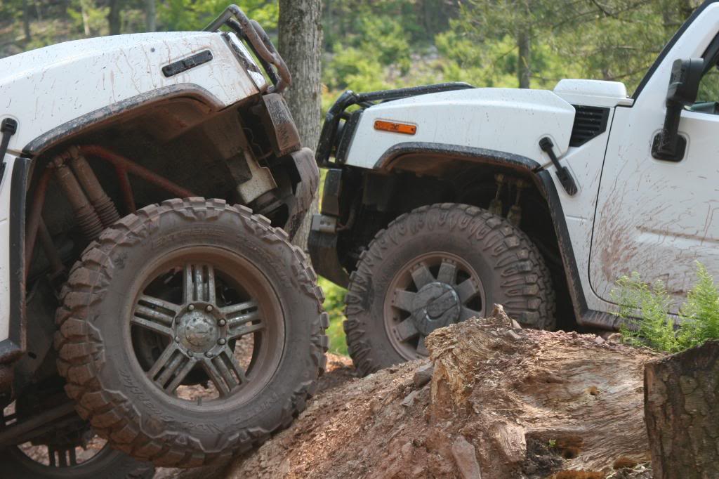 Name:  IMG_3523.jpg
Views: 234
Size:  116.3 KB