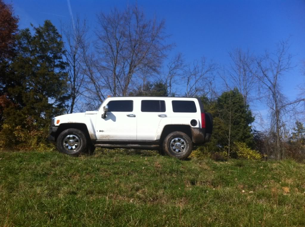 Name:  3f6bee68.jpg
Views: 930
Size:  151.9 KB