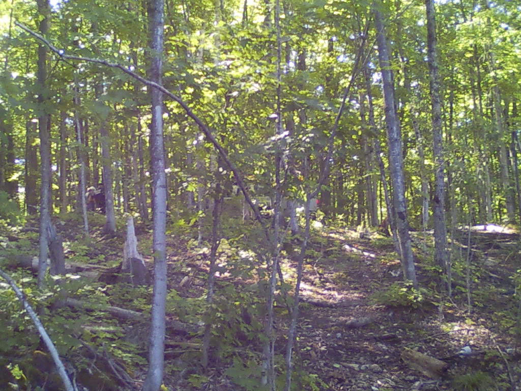 Name:  DrummondIsland212.jpg
Views: 245
Size:  231.5 KB