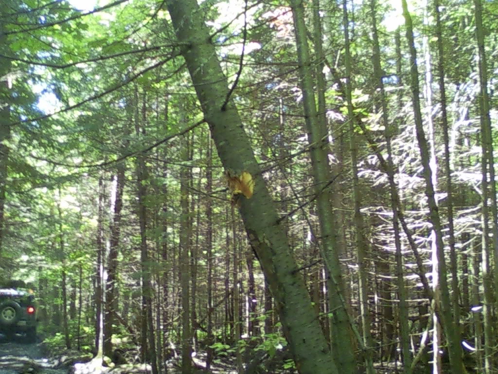 Name:  DrummondIsland217.jpg
Views: 236
Size:  226.6 KB