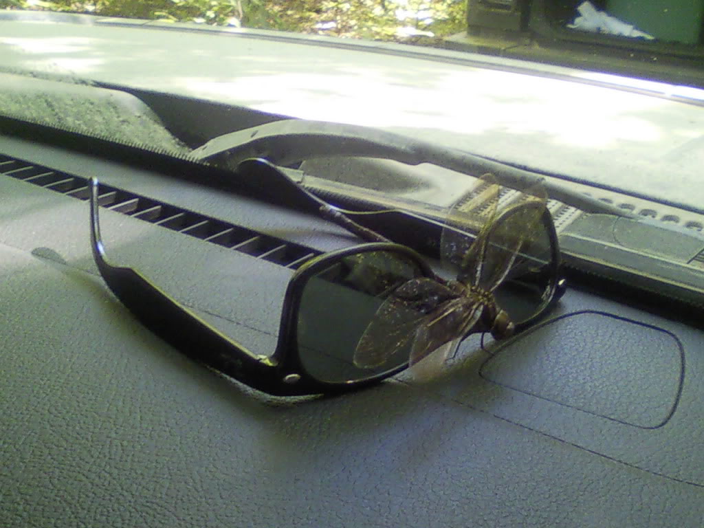 Name:  DrummondIsland220.jpg
Views: 217
Size:  115.6 KB