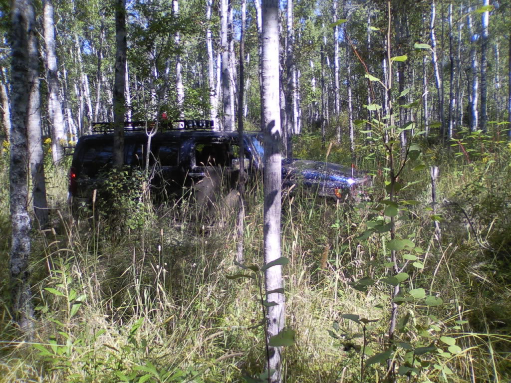 Name:  DrummondIsland166.jpg
Views: 214
Size:  294.5 KB