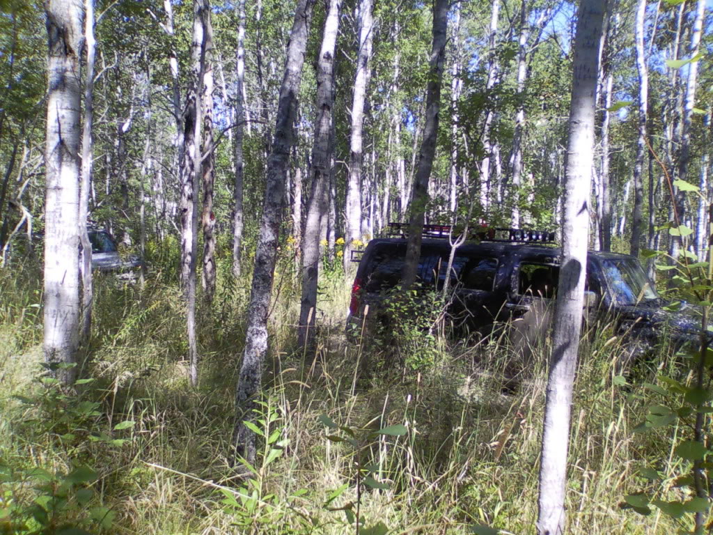 Name:  DrummondIsland168.jpg
Views: 272
Size:  295.6 KB