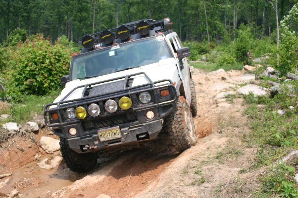 Name:  IMG_3893.jpg
Views: 2648
Size:  128.3 KB