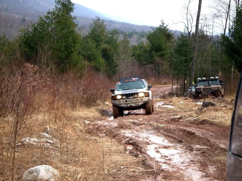 Name:  zbeenersj.jpg
Views: 126
Size:  208.9 KB