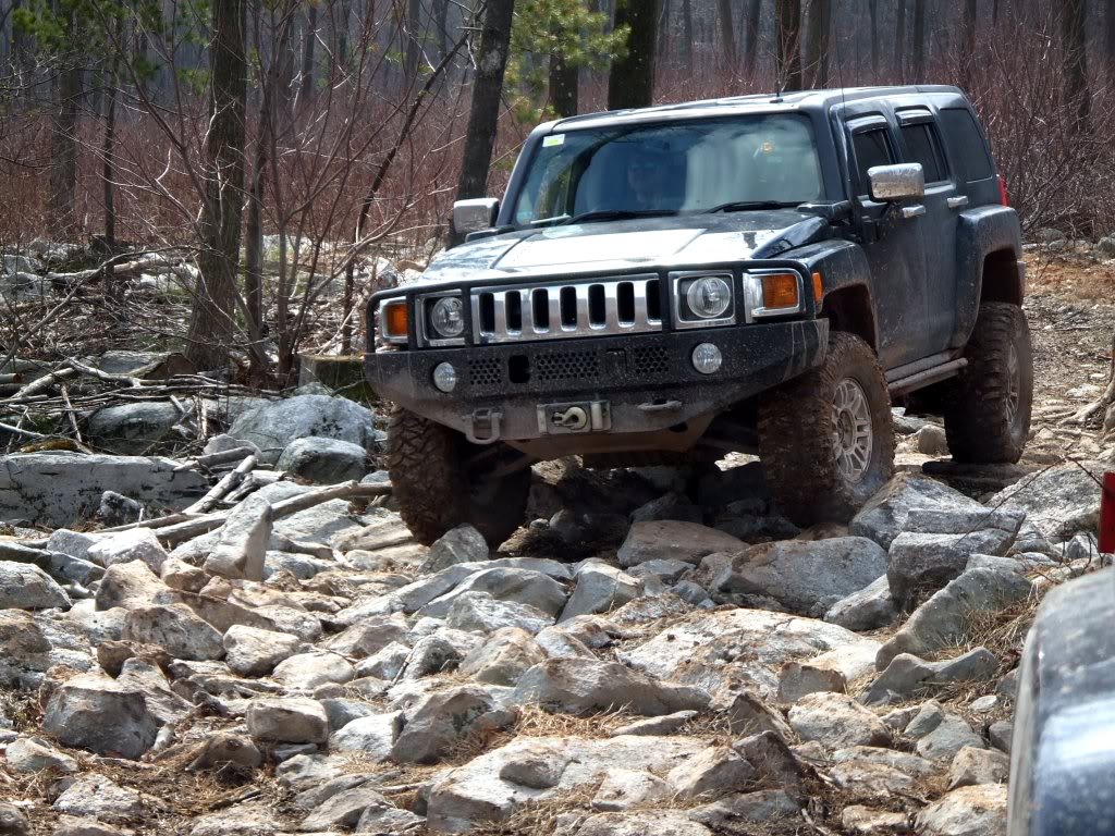 Name:  zdocrockgarden.jpg
Views: 67
Size:  222.5 KB