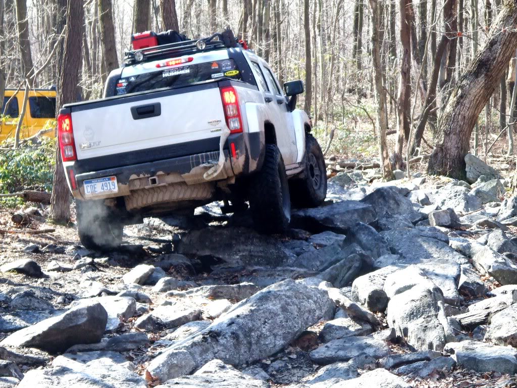 Name:  zcbrockgarden2.jpg
Views: 105
Size:  239.8 KB