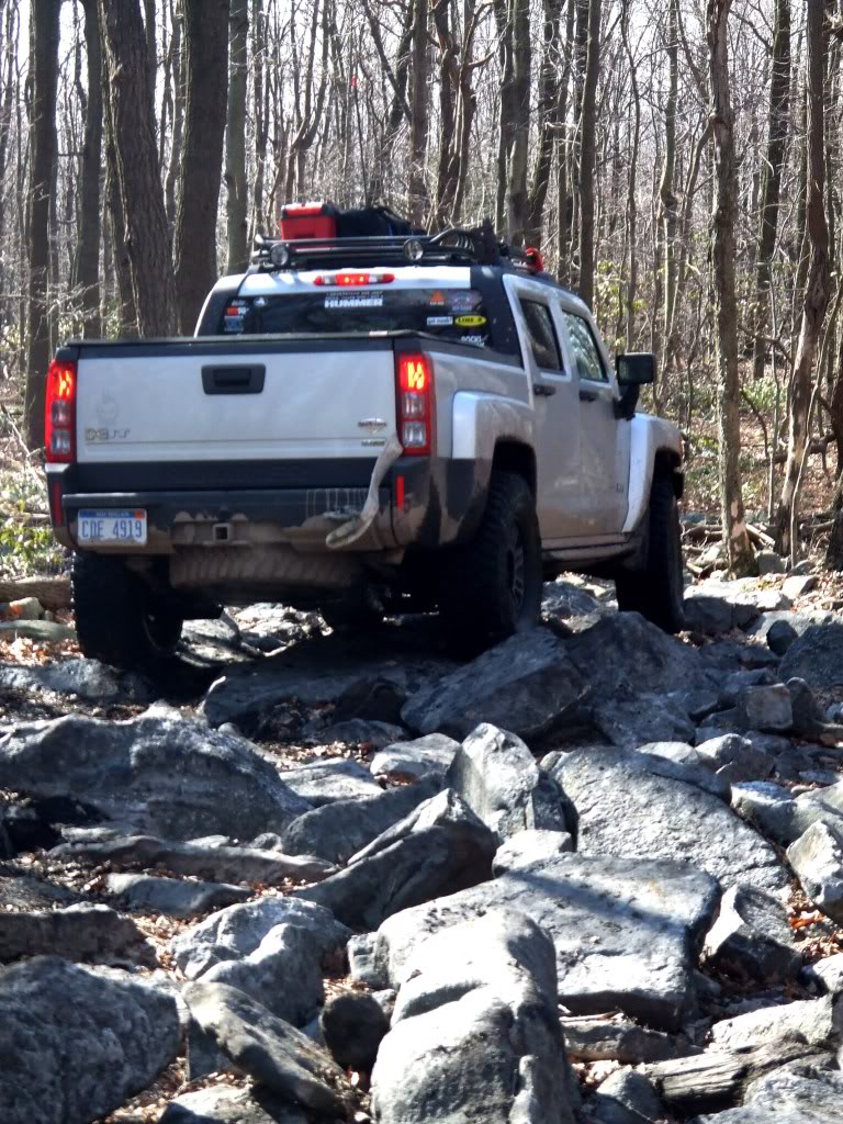 Name:  zCBrockgarden.jpg
Views: 56
Size:  210.1 KB