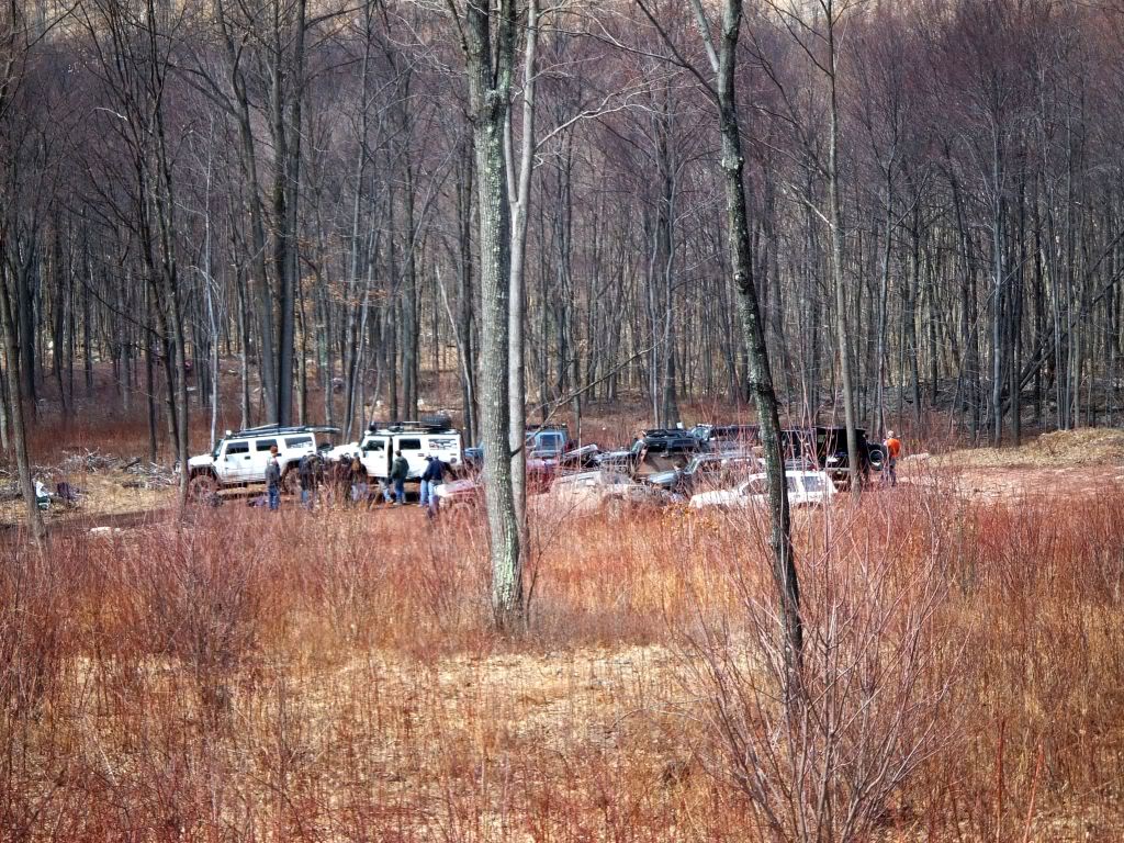 Name:  zlunchtime.jpg
Views: 42
Size:  244.5 KB