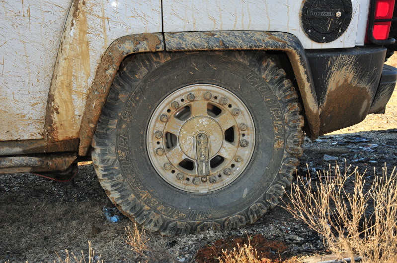 Name: DAH_9388.jpg
Views: 1632
Size: 189.4 KB