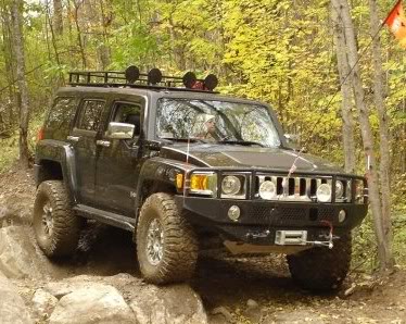 Name:  mutaintcrop.jpg
Views: 90
Size:  44.8 KB