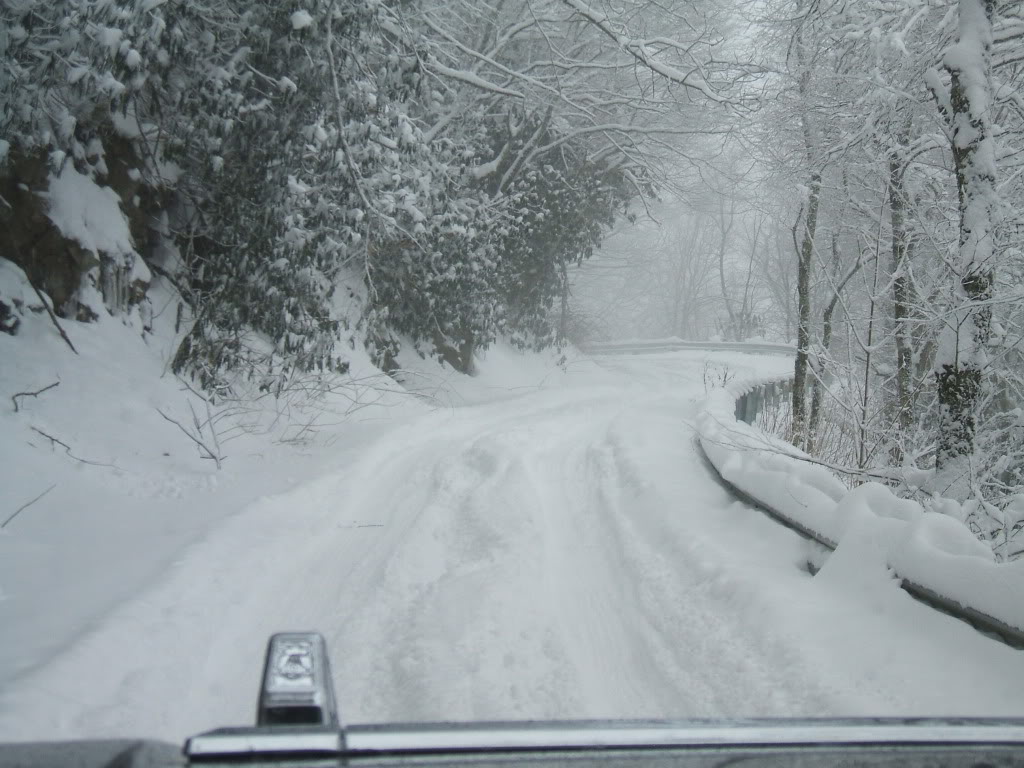 Name:  DSCF06582.jpg
Views: 150
Size:  137.8 KB