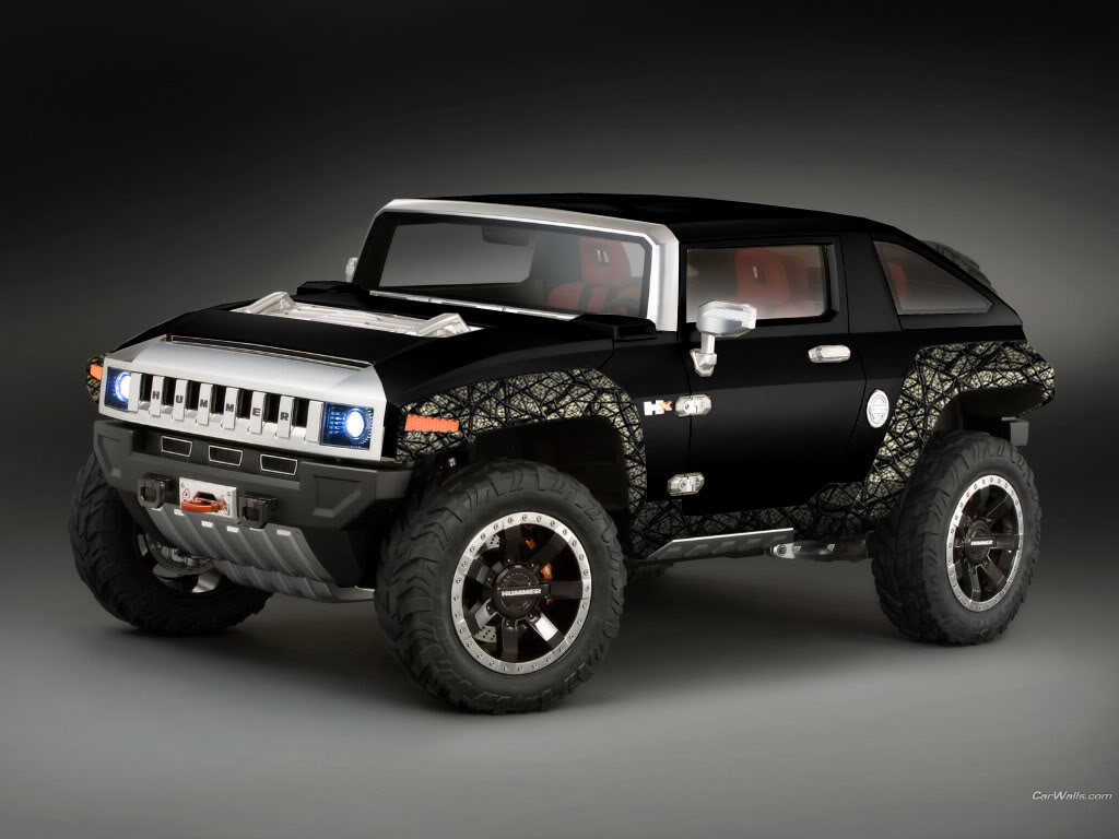 Name:  hummer-camoBHweb.jpg
Views: 1152
Size:  85.3 KB