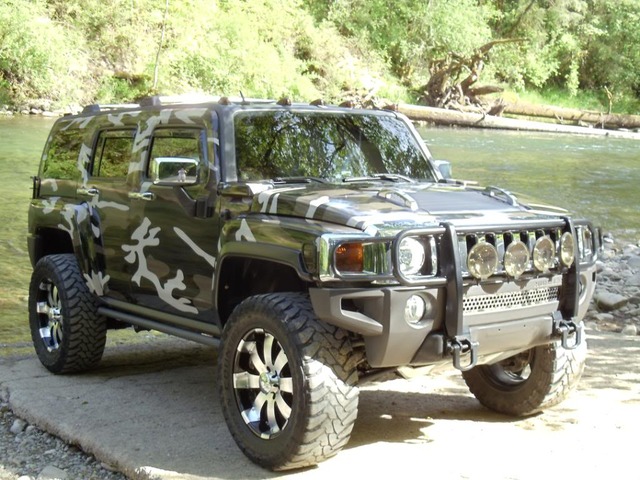 Name:  DSC00242.jpg
Views: 7313
Size:  117.7 KB