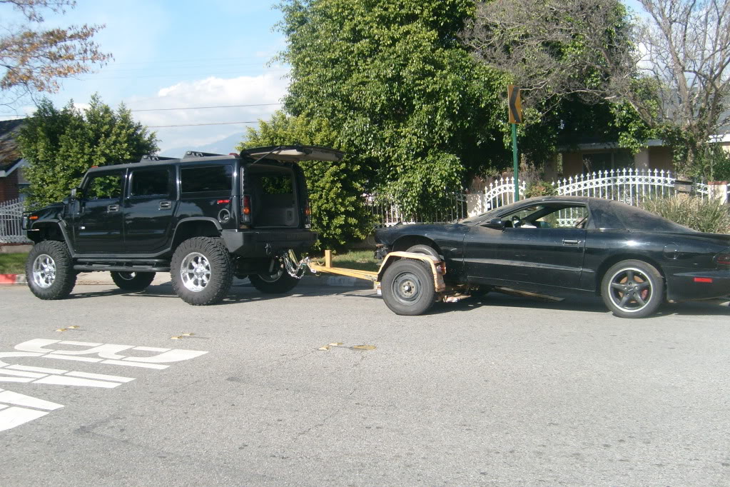 Name:  danielspics134.jpg
Views: 195
Size:  250.0 KB