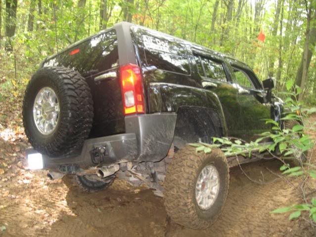 Name:  IMG_2332.jpg
Views: 143
Size:  57.4 KB