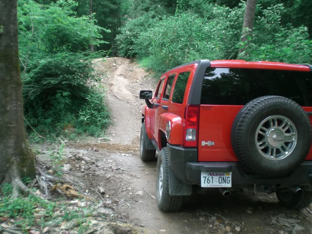 Name:  CIMG0042.jpg
Views: 221
Size:  194.2 KB