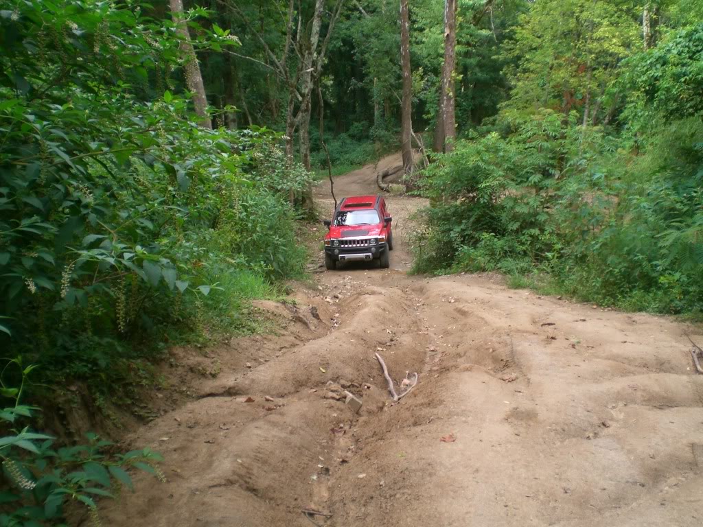 Name:  CIMG0043.jpg
Views: 228
Size:  230.6 KB