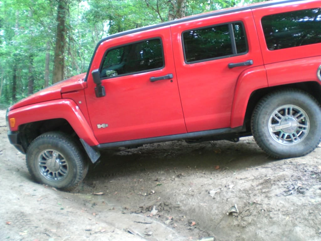 Name:  CIMG0051.jpg
Views: 242
Size:  154.8 KB