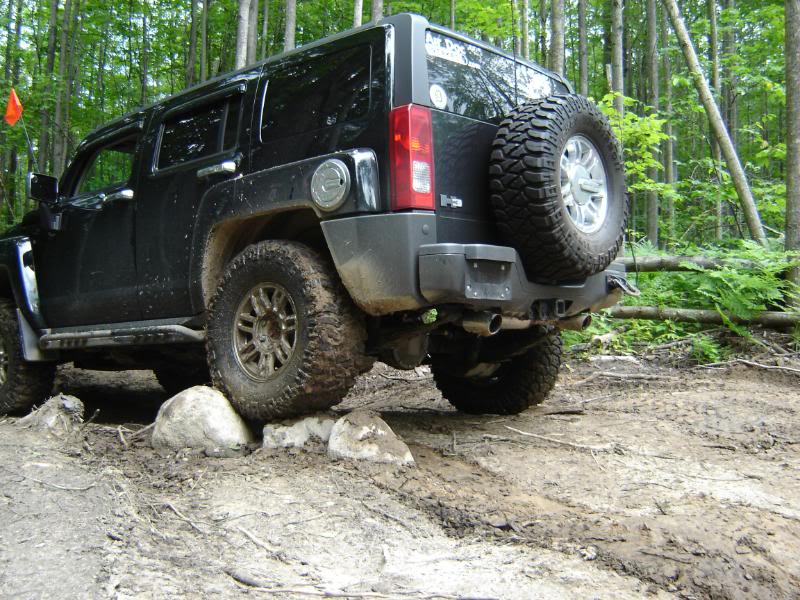 Name:  DSC02691.jpg
Views: 1360
Size:  133.7 KB