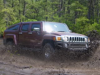 Name:  MudClose-up.jpg
Views: 79
Size:  85.7 KB