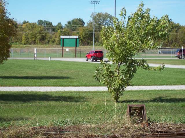 Name: 100_0338.jpg
Views: 79
Size: 70.4 KB