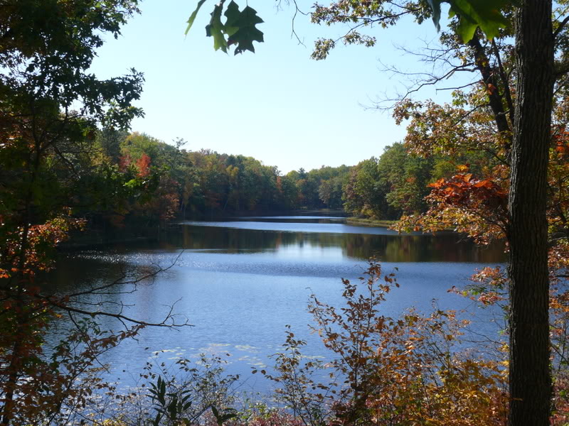 Name:  Picture2182.jpg
Views: 467
Size:  155.3 KB