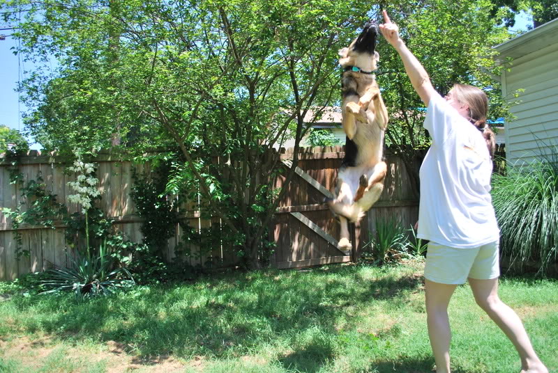 Name: DSC_0189.jpg
Views: 63
Size: 209.3 KB